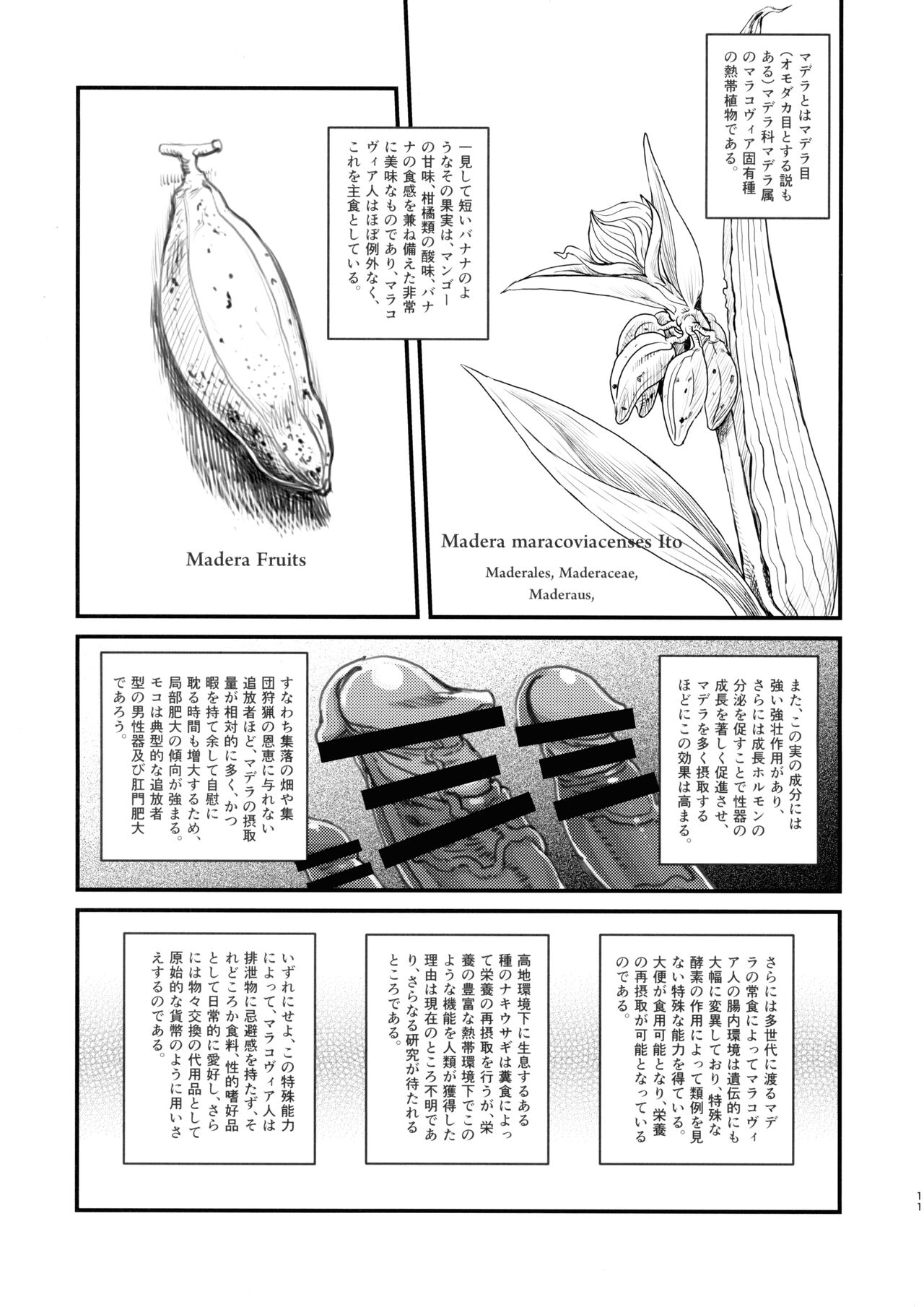 Dankon no Ethnography - Marakovia no Sei to Haishoku - page 10 full