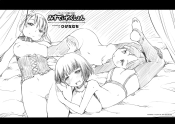 [Higenamuchi] MISDIRECTION Melonbooks Gentei Shousasshi cover