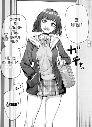 [Yakitomato] Tsundere-chan Matome! [korean] cover