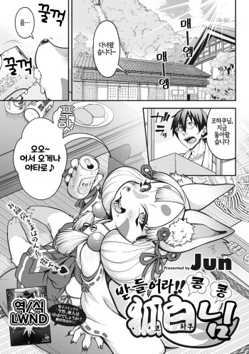 [Jun] Omatsure!! Kon Kon Kohaku Sama | 받들어라!! 콩콩 코하쿠님 (COMIC GAIRA Vol. 15) [Korean] [LWND] cover