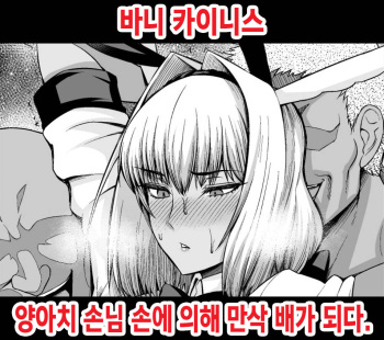 [Ankoman] Bunny Caenis, Chinpira Kyaku ni Bote Hara ni Sareru | 바니 카이니스, 양아치 손님 손에 의해 만삭 배가 되다. (Fate/Grand Order) [Korean] cover