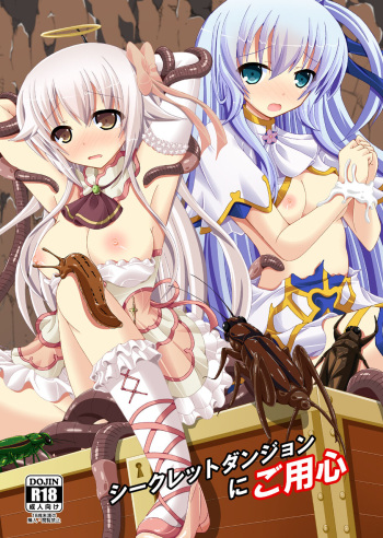 [Dream Project (Yumeno Shiya)] Secret Dungeon ni Goyoujin (Flower Knight Girl) [Digital] cover