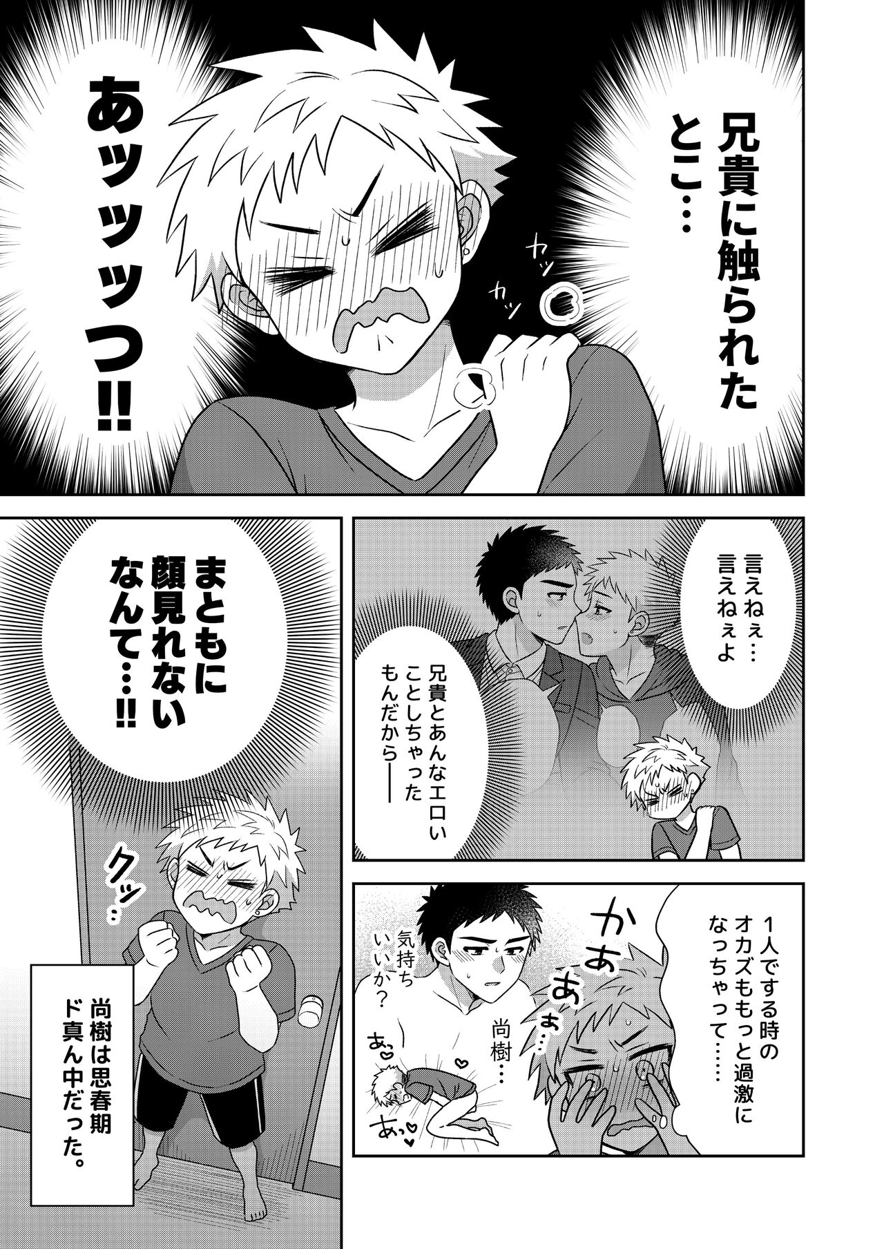 Tsungure Otouto to Kimajime na Ani ２ page 9 full
