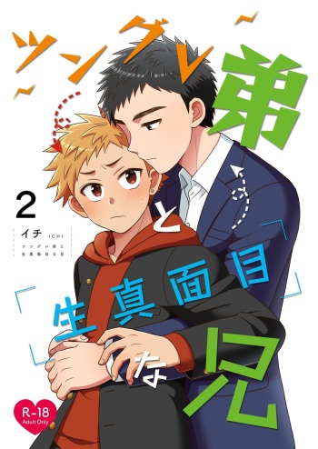 [Suita Kobara ni Choudo Ii (ichi)] Tsungure Otouto to Kimajime na Ani ２ [Digital] cover