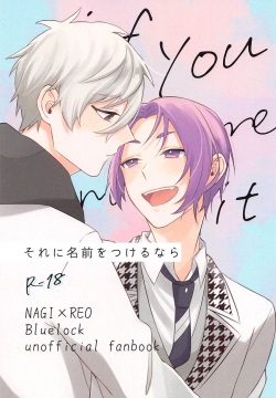 Sore ni Namae o Tsukeru nara