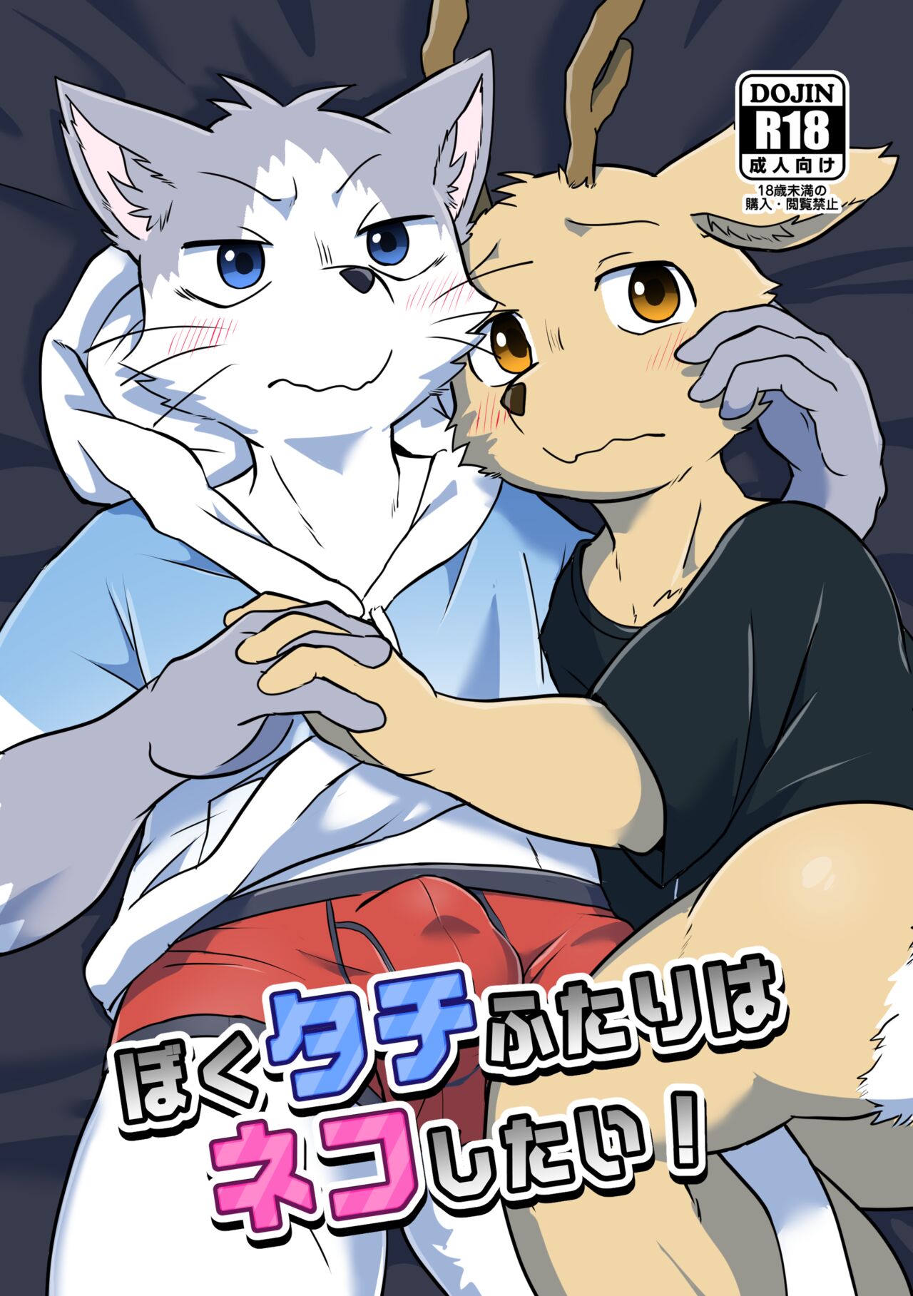 Boku-Tachi Futari wa Neko shitai! page 1 full