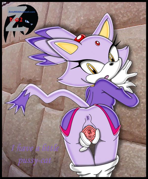 Furry - Blaze The Cat Collection page 12 full