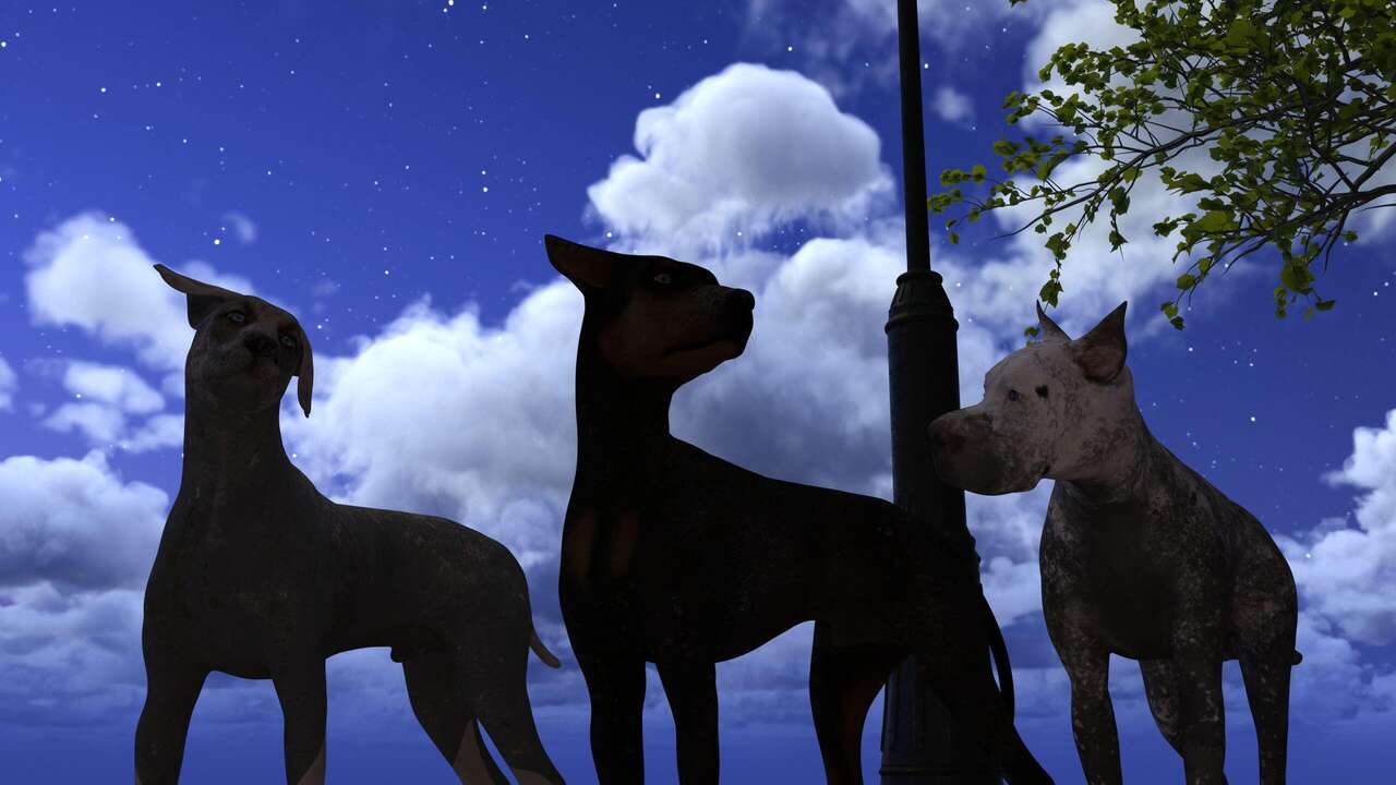 K9 District page 9 full
