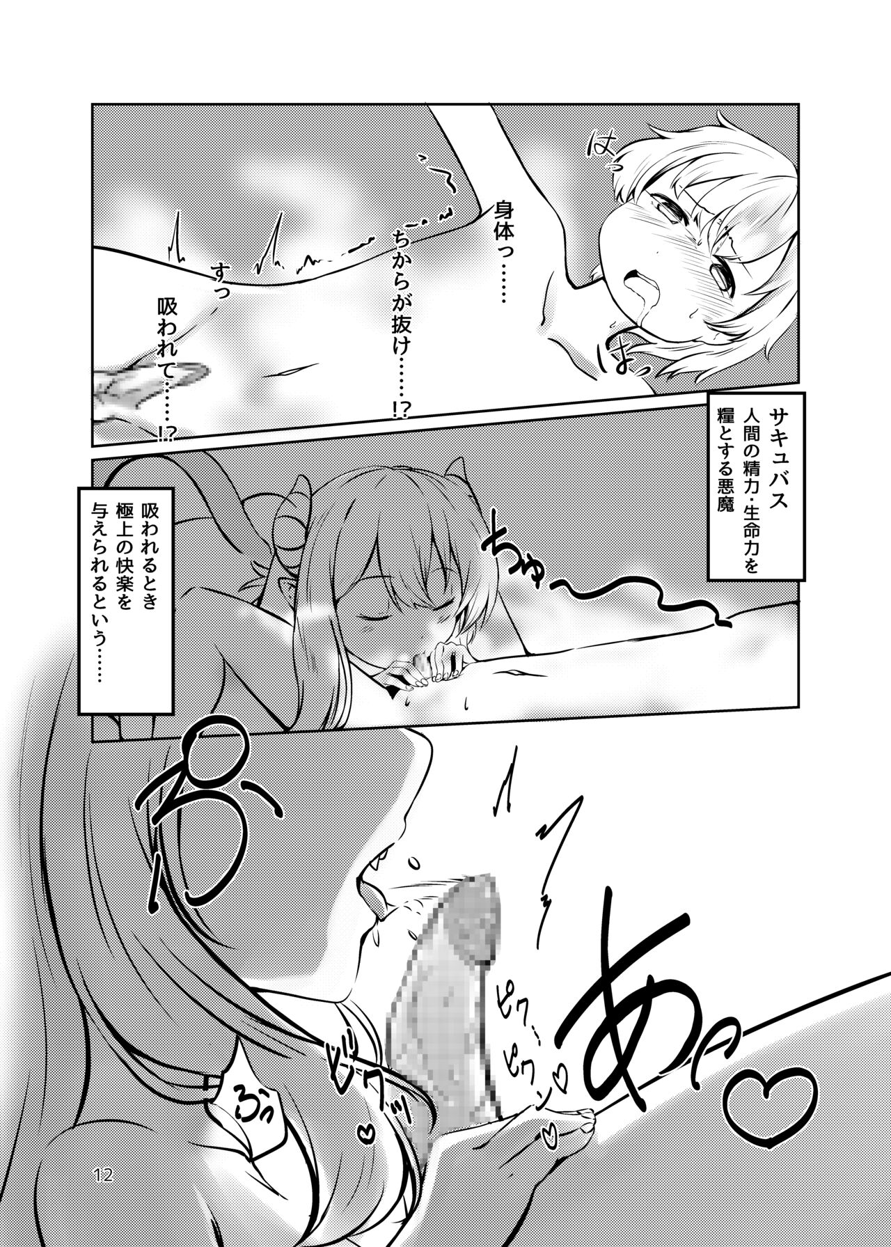Succubus no  Sumu Ie no Wana page 11 full