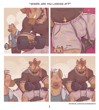 [Wolfanine] Where Are You Looking At? cover