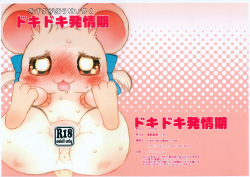 Doki Doki Hatsujouki