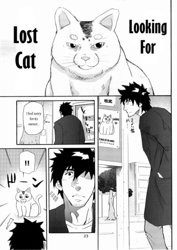 [Takeshi Matsu]  Looking For Lost Cat cover