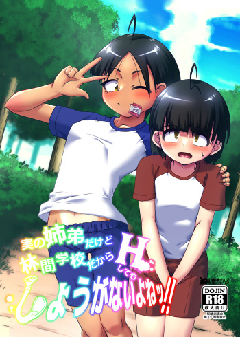 [Kurodou Holdings "Kabu" (Kurodou Katana)] Jitsu no Kyoudai Dakedo Rinkan Gakkou Dakara H Shite mo Shouganai Yo Nee [Digital] cover