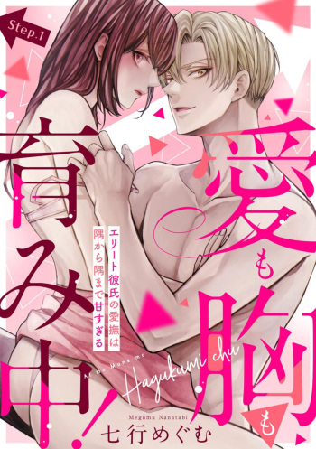 [Nanatabi Megumu] Ai mo Mune mo Hagukumi-chuu! Elite Kareshi no Aibu wa Sumi Kara Sumi Made Amasugiru (Bunsatsu-ban) 1 cover