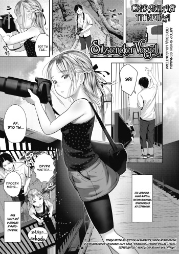 [Shishi Senmaru] Sitzender Vogel | Сидящая птичка (Hajimete no tsubomi shibori) [Russian] [LoliconTeam] [Digital] cover