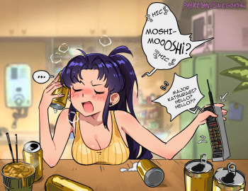 [Snegovski] Misato's Days (Neon Genesis Evangelion) cover
