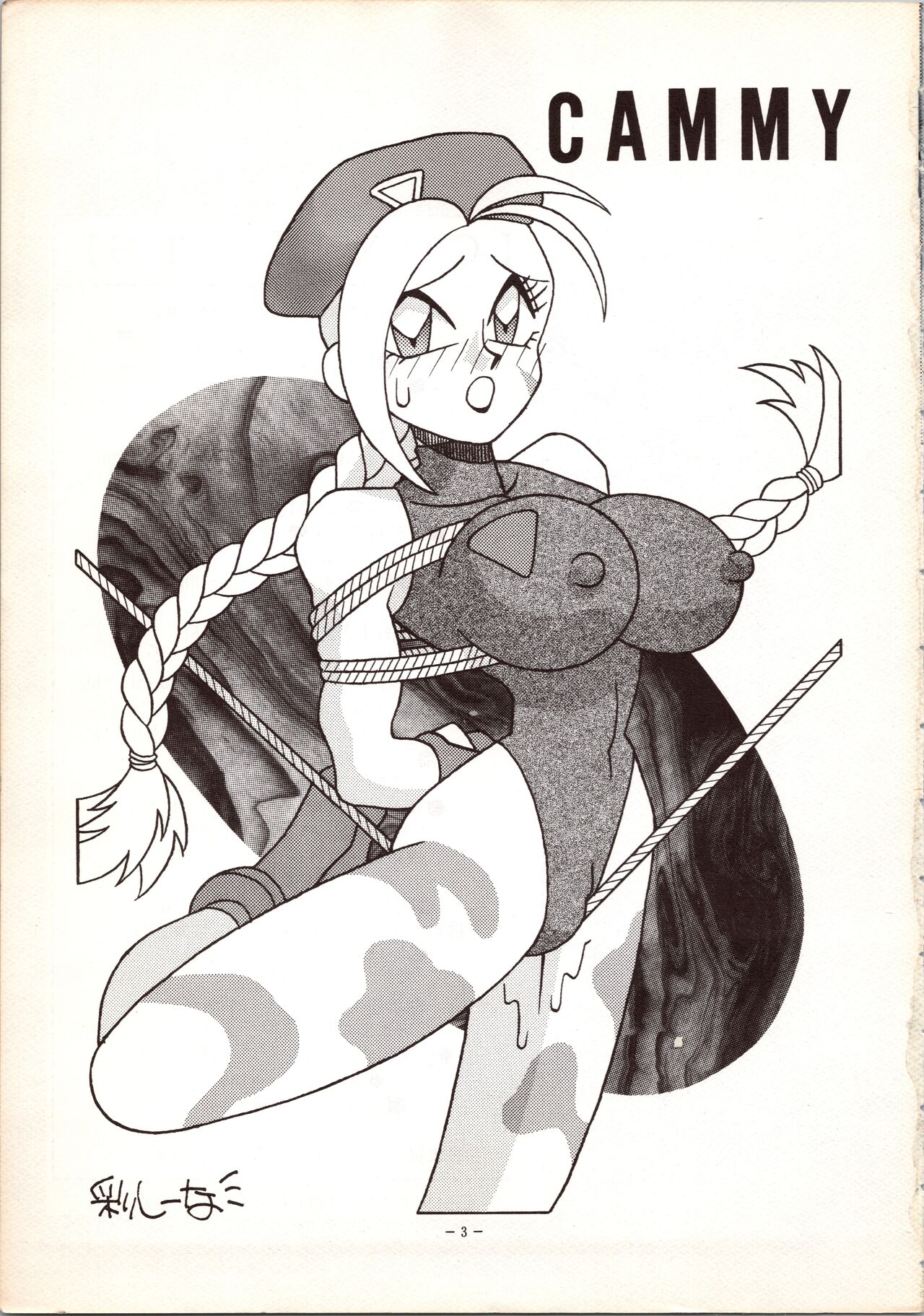 MODEL 5 page 3 full