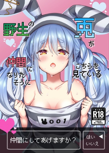 [Hachinoko P (hatigo)] Yasei no Usagi ga Nakama ni Naritasou ni Kochira o Miteiru | Wild Rabbit Is Looking At You As If It Wants To Be Friends (Usada Pekora) [English] [Semicolor] [Lidl Translations] [Digital] cover