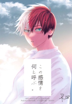 Kono Kanjou  o Nanto Yobu