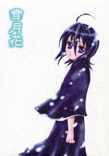 [PONCHEES (Kari) (Tenjoutenka)]Yuki Gatsu Hanai[Bleach) [Sample] cover