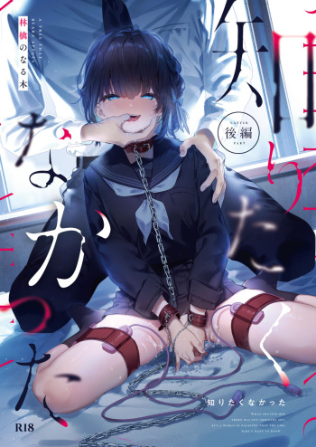 (C102) [Ringo no Naru Ki (Kise Itsuki)] Shiritakunakatta Kouhen cover