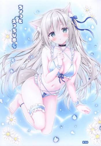 (C102) [Muzin Syoujo (Korie Riko)] Chotto Ecchi na Hon 5 (Various) cover