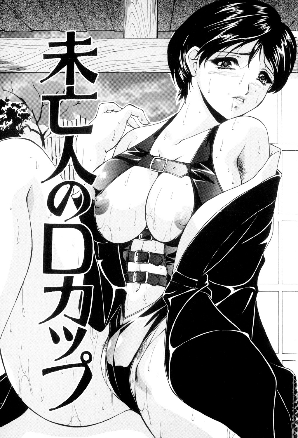 Aniyome no Himitsu page 2 full