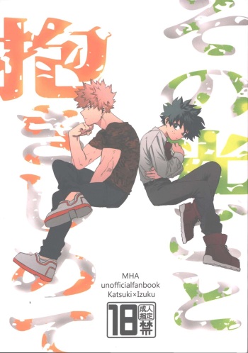 (Douyara Deban no Youda! 29) [Kinugoshi Body (Kin)] Sono Hikari goto Dakishimete (My Hero Academia) cover