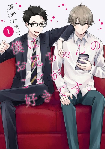 Boku wa Oniichan no koto ga Suki desu.    V1 cover