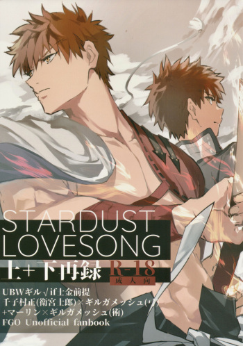 [SpringLOVE](Mottled) STARDUST LOVESONG top + bottom reprint (Fate/Grand Order) cover