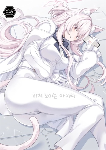 (C102) [Ohanabatake (Siseki Hirame)] Sukitoutta Akira | 비쳐보이는 아키라 (Blue Archive) [Korean] cover