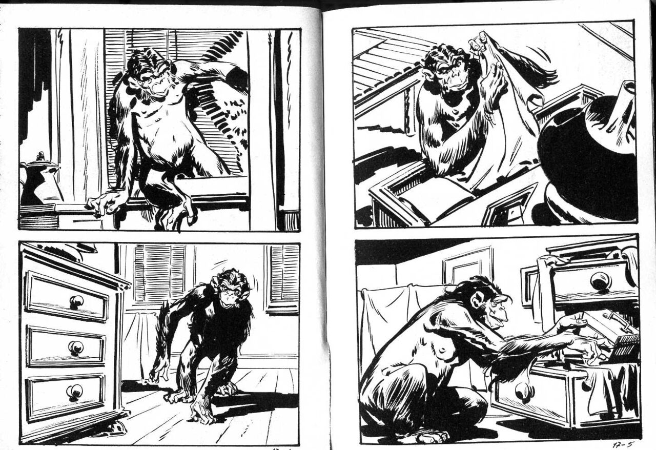 PFA - Jungla #17 L'enfer vert page 5 full