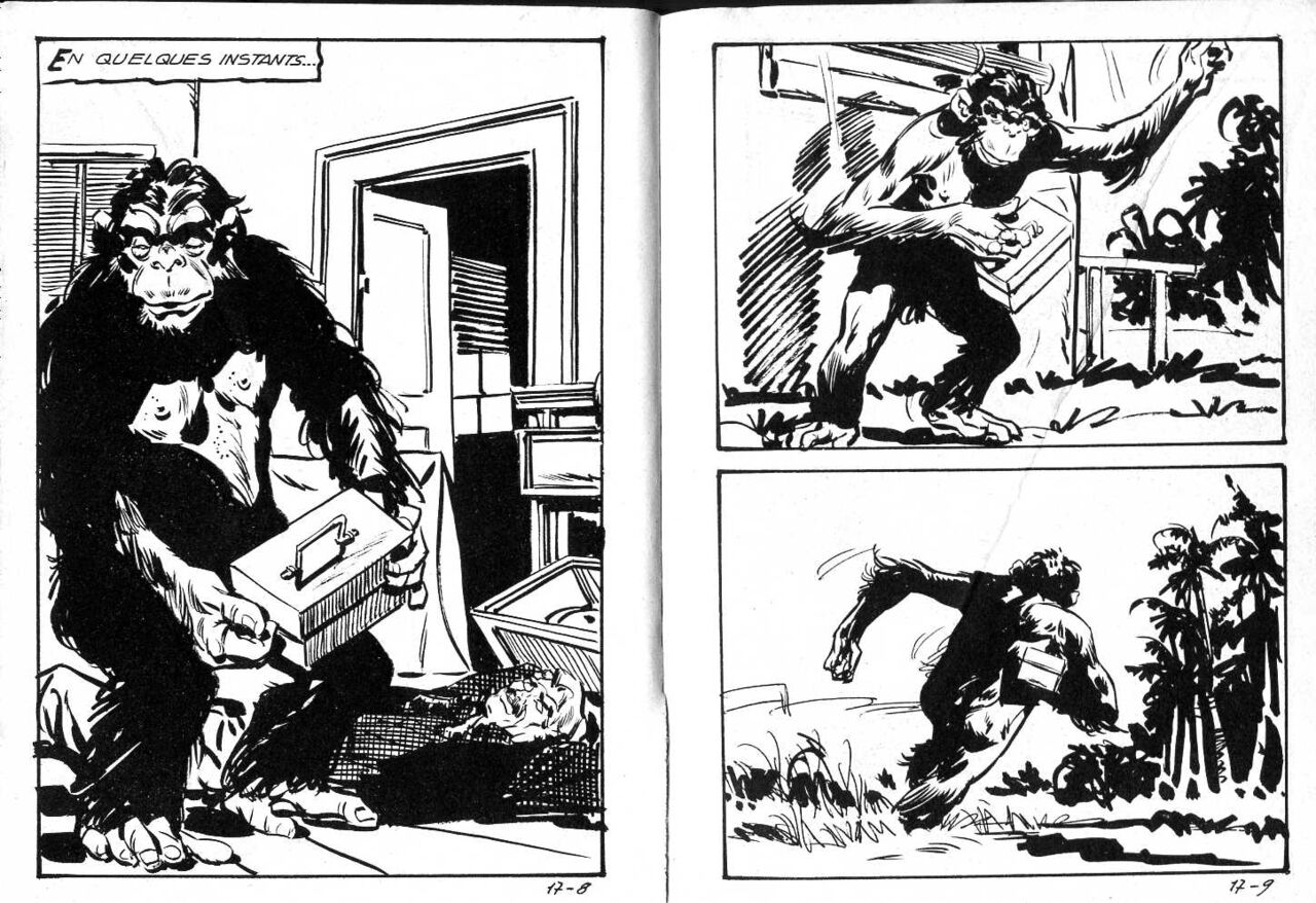 PFA - Jungla #17 L'enfer vert page 7 full