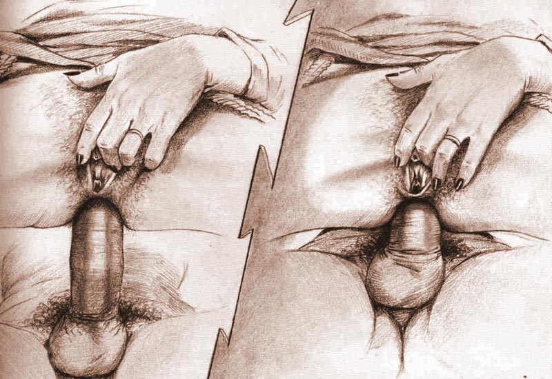 Anal Drawings page 12 full