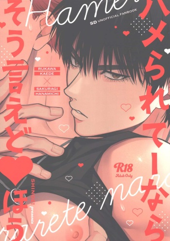 [SHINOZ! (Kyoko Shinozaki)] Hamerarete nara soie doaho (Slam Dunk) cover