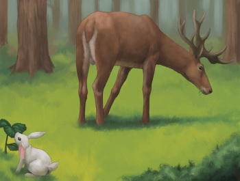 Rabbit Season cover