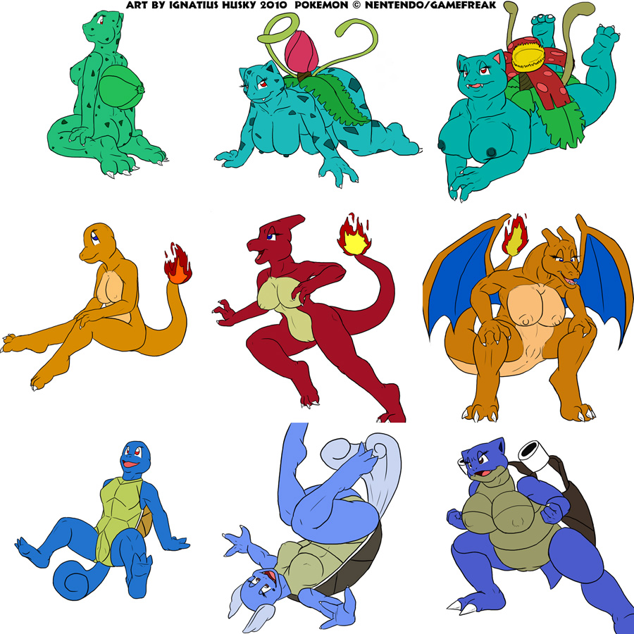 Gen 1 Starter Pokemon page 11 full