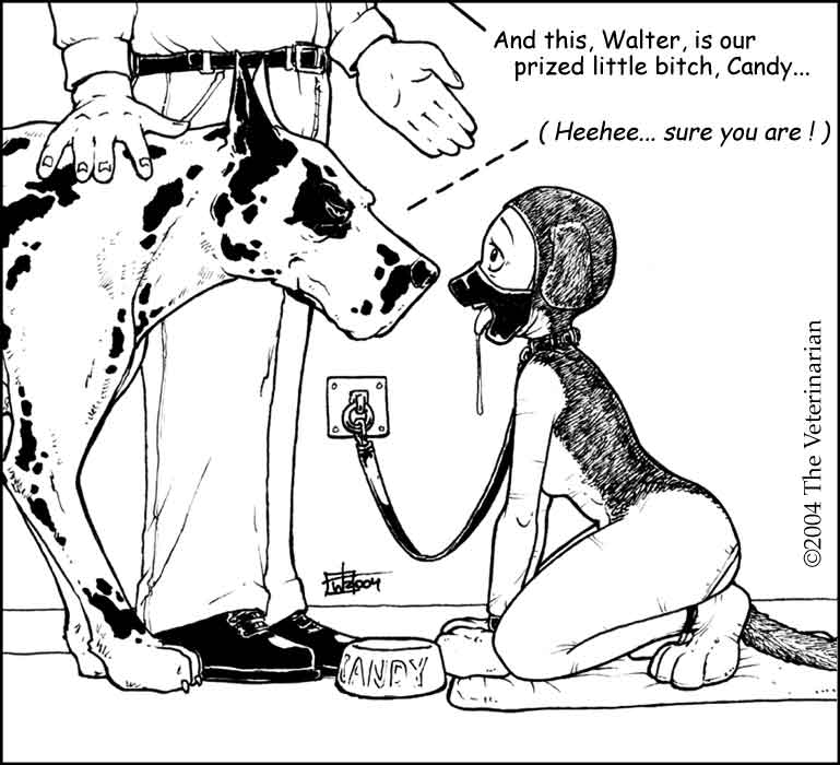 Artist Gallery - The Veterinarian page 11 full