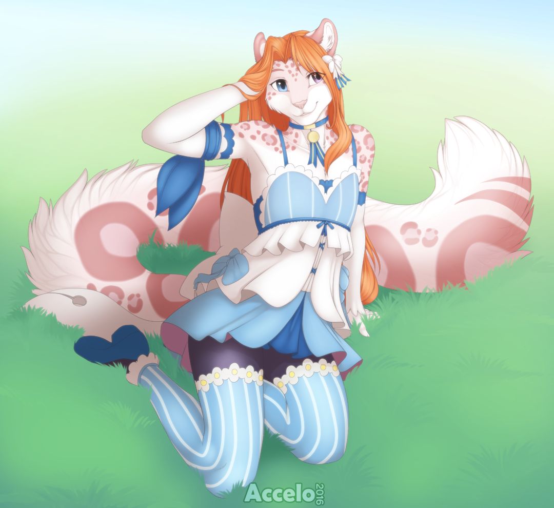 Furry - Accelo page 7 full