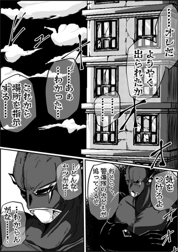 [shadeの裏姫]罪人と姫 ~フィオラ クライシス外伝4~ cover
