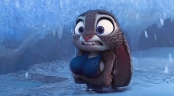 Furry - Judy Hopps Collection