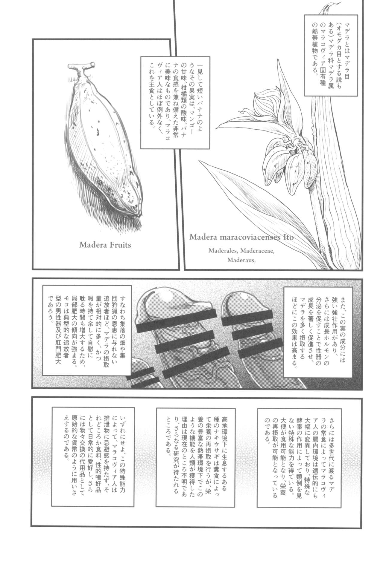 Dankon no esunogurafi ─ marakovuia no sei to haisetsu ─ page 11 full