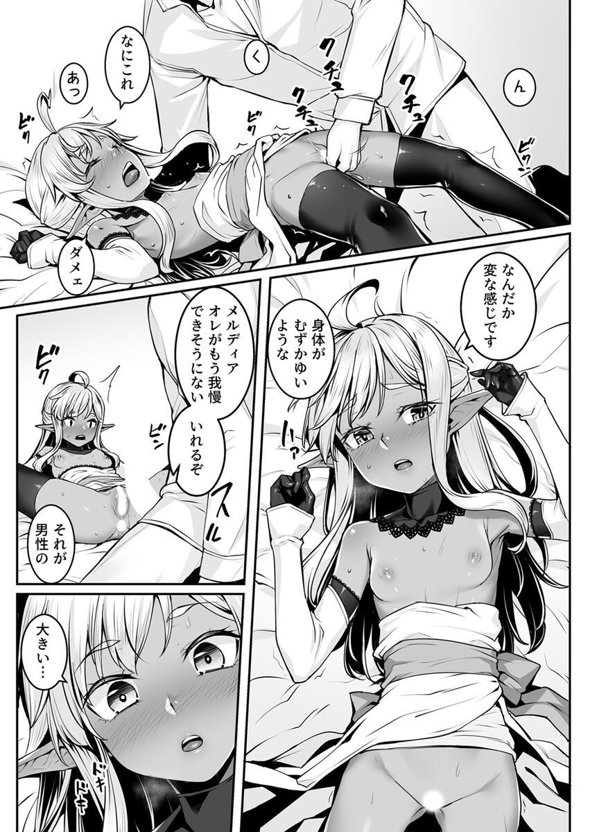 Ecchi na Elf to no Kurashikata Vol. 7 ~Dark Elf no Himegimi to Ichakorakkusu~ page 11 full