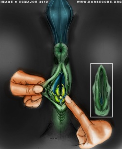 Human On Pony Action