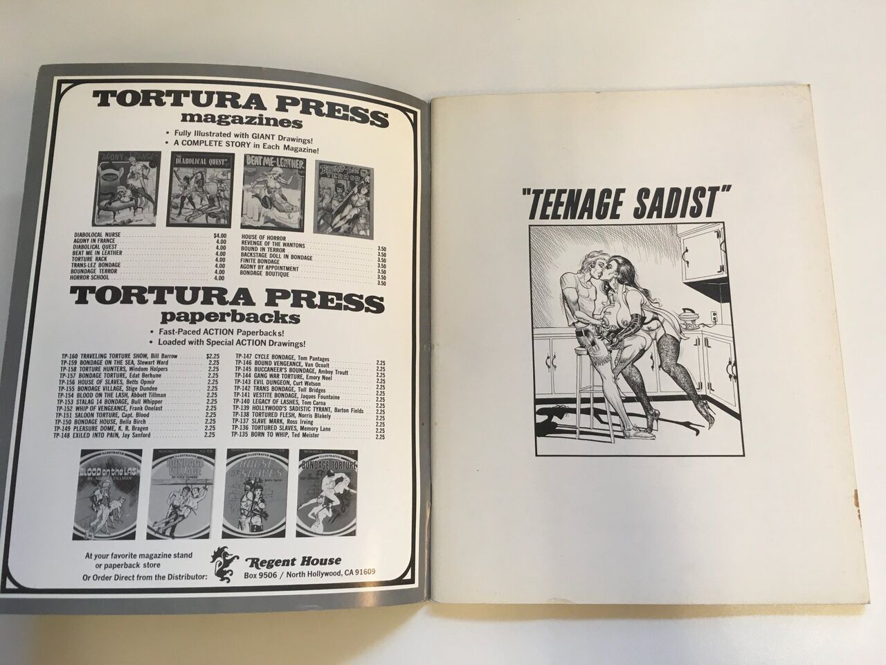 Bil Ward Teenage Sadist 1973 page 2 full