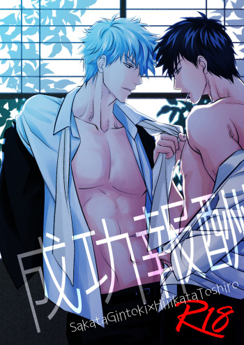 [Seseragi (Minami)] Seikou Houshuu (Gintama) [Digital] cover