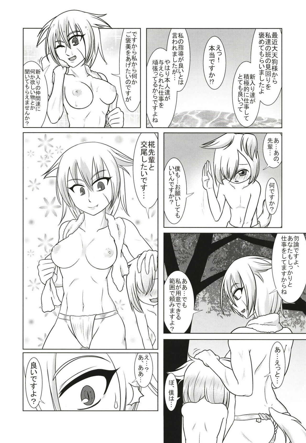 Gensoukyou Yagai Play Goudou Touhou Seikanroku page 11 full