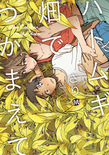 [Sari] Hatomugi Batake de Tsukamaete - The Catcher in the Hato cover