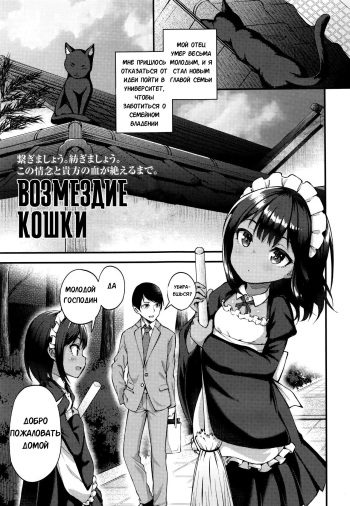 [Binsen)] Neko No Ongaeshi | Возмездие кошки (Towako 6) [Russian] [Mechen] cover