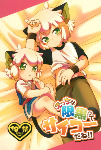 [Nu+ (Akaya)]  Etchina kiri kuro tte saikouda ne! ! (The Legend of Hei) cover